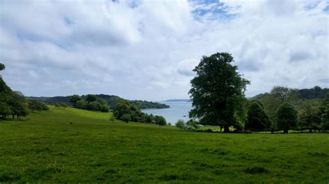 Trelissick Gardens - Explore Cornwall