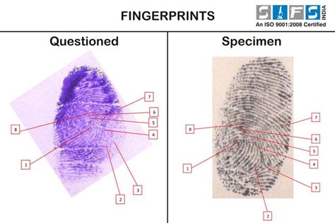 Premier Quality Forensic Fingerprints Services For Your Required Need Fingerprint Forensics