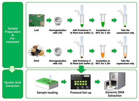 Automatic Genomic Dna Extraction Kit For Various Plant Leaf And Seed Samples Exiprep™ Plus