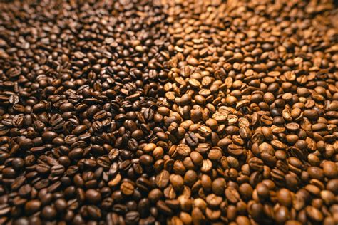 Best Light Roast Coffee Beans - Helena Coffee Vietnam