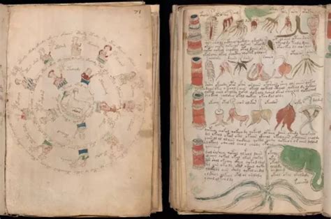 10 Fakta Menarik Tentang Voynich Manuskrip Paling Misterius Di Dunia