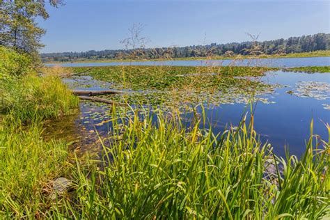 Burnaby Lake Regional Park | Buntzen Lake