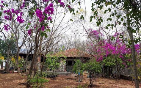 Jiquilpan Recorre Un Pueblo M Gico Lleno De Cultura Y Tradici N