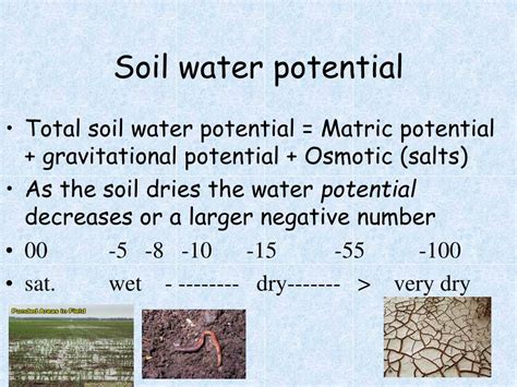 Ppt Soil Water Powerpoint Presentation Free Download Id6408324