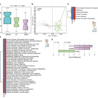 Kegg Functional Annotation Of The Gut Microbiota Genome A Anosim