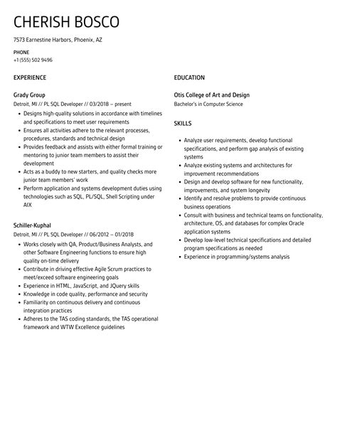 Pl Sql Developer Resume Samples Velvet Jobs