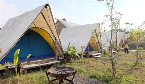 Tempat Glamping Di Ciwidey Bandung Destinasi Staycation Unik