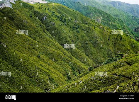 Aerial View Of A Valley Between Two Mountains Covered With Green Trees