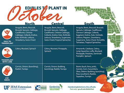 Edibles To Plant This Month Gardening Solutions University Of