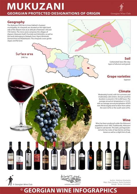 Five italian red wine varieties – Artofit