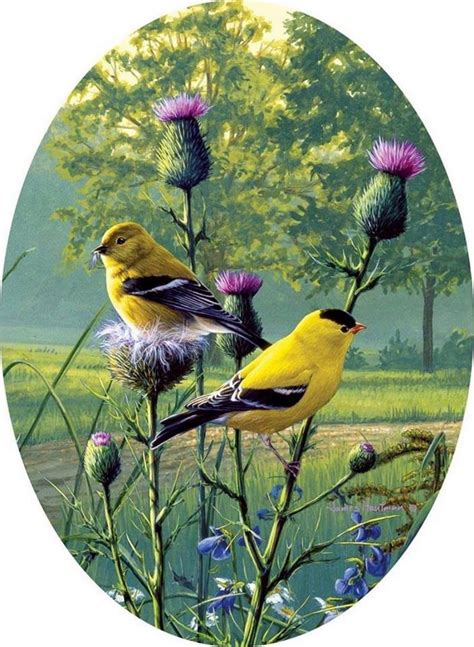 Birds painting, Beautiful birds, Nature birds
