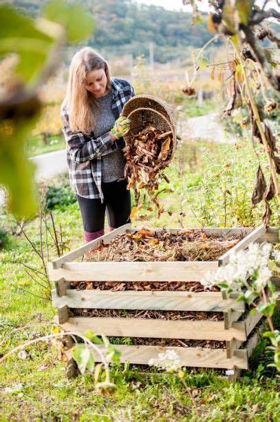 Veg Garden Edible Garden Kitchen Garden Cottage Garden Vegetable