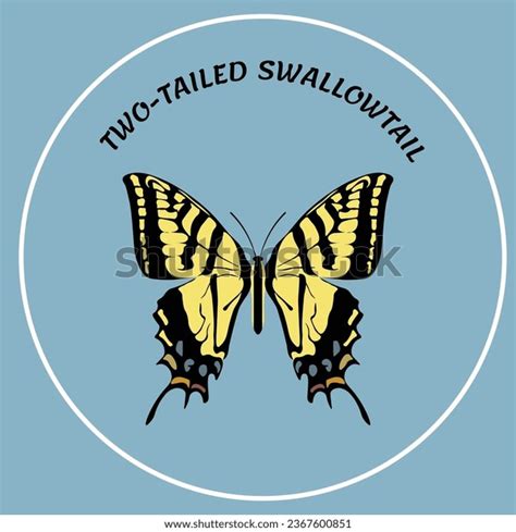 Swallowtail: Over 4,206 Royalty-Free Licensable Stock Vectors & Vector ...