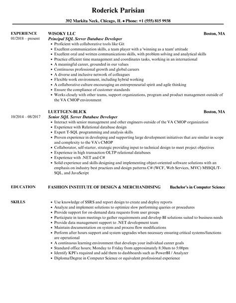 Sql Server Database Developer Resume Samples Velvet Jobs