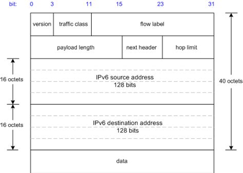 Ipv6 Packet Field Descriptions