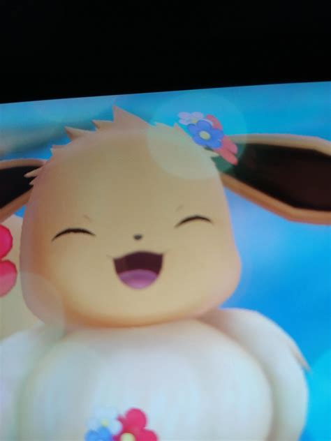 Eevee is god, eevee is life. : r/Eevee