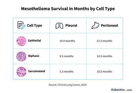 Mesothelioma Life Expectancy Factors Treatment Improving