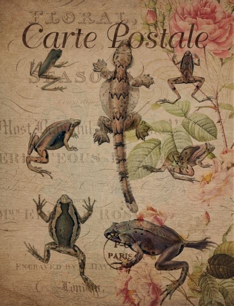 Vintage Frog Floral Postcard Free Stock Photo Public Domain Pictures