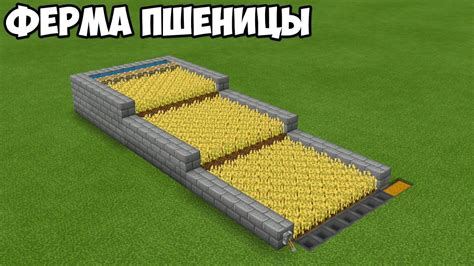 Полуавтоматическая Ферма Пшеницы в Майнкрафте - YouTube
