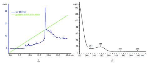 A RP HPLC Profile Of Trastuzumab And B UV Profile Of The Main