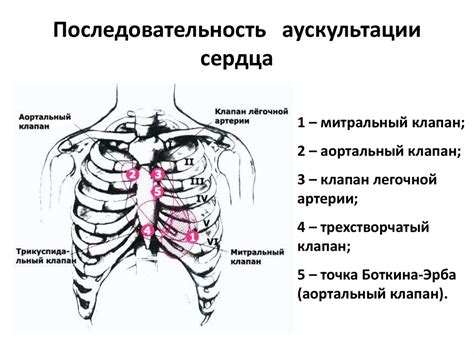 Аускультация сердца и сосудов - презентация онлайн