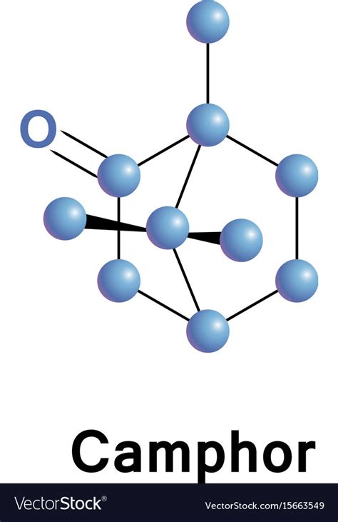 Camphor chemical formula c10h16o Royalty Free Vector Image