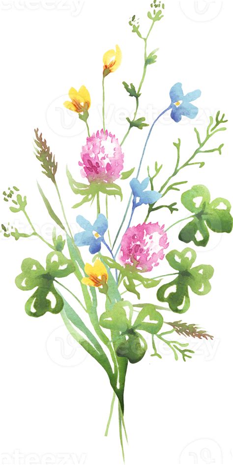 Wildflowers Bouquet Watercolor Clipart 21952829 Png