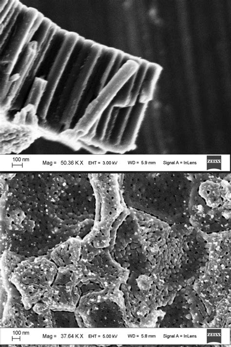 Sem Image Of Titanium Dioxide Nanotubes Decorated With Cds Download Scientific Diagram