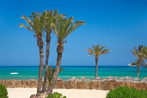 Relax in Tunisia - Visit Tunisia | Travel Tunisia | Beach Holiday Tunisia