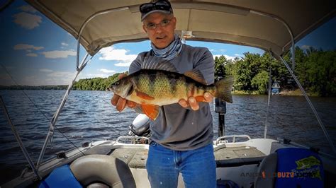 Using Electronics To Catch Fish During The Mayfly Hatch