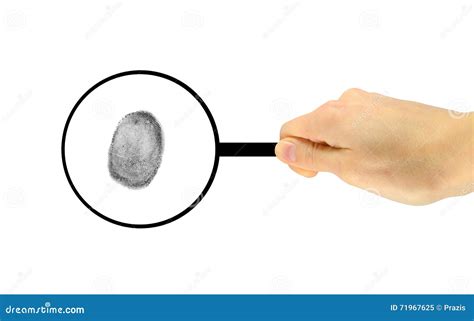 Fingerprint And Magnifying Glass In Hand Stock Photo Cartoondealer