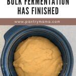 How Do You Know When Bulk Fermentation Has Finished The Pantry Mama