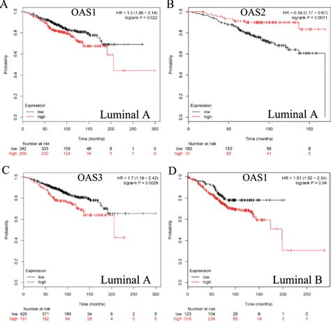 Survival Curves OS Of OAS1 A OAS2 B And OAS3 C Are Plotted