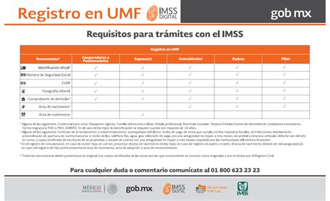 Alta En El Imss De Hijos Image To U