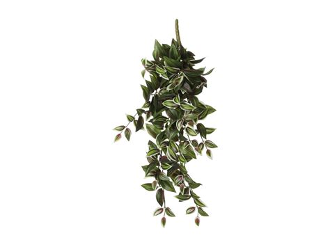 Kunst Hangplant Van Polyester X X Groen Tradescantia