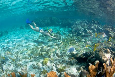 Snorkeling at Mexico Rocks Next to Ambergris Caye - Kated