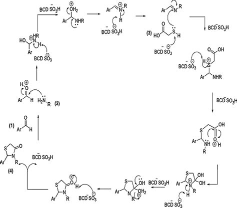 Possible Mechanism For The Synthesis Of Thiazolidinone Derivative