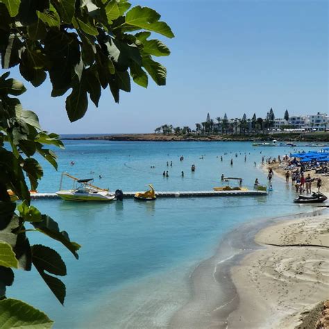 Beautiful Fig Tree Bay And Its Azure Sea And Fig Trees Of Course