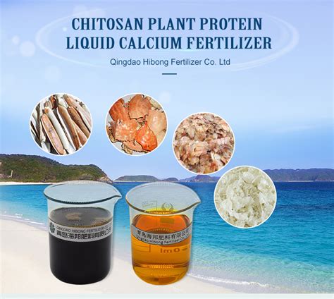 Chitin No 1 Water Soluable Chitosan Liquid Fertilizers Agricultural