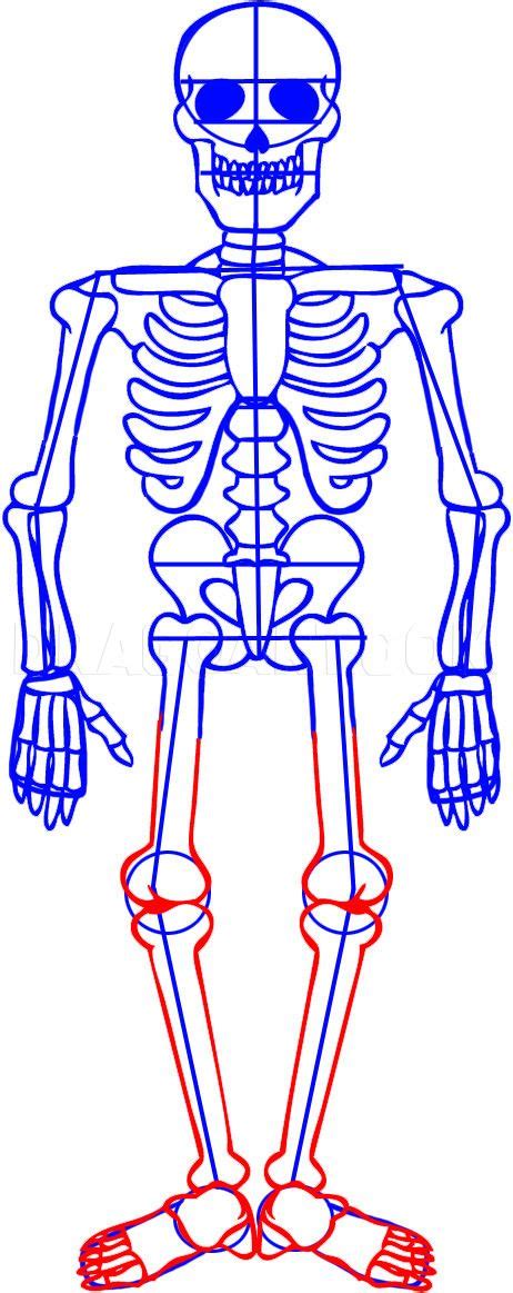 How To Draw A Skeleton Step By Step Drawing Guide By Dawn Skeleton