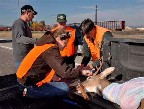 Check Stations Self Service Kiosks To Open For Cwd Testing