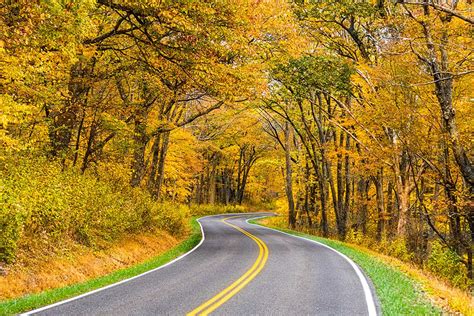Where To Find The Best Instagram Backdrops On Skyline Drive