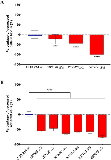 Biofilm Formation And Substrate Adherence Of The C Parapsilosis Mutant