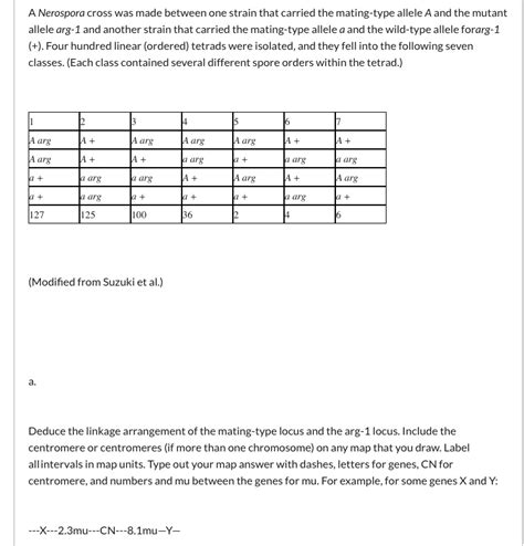 Solved A Neurospora Cross Was Made Between One Strain That Carried The