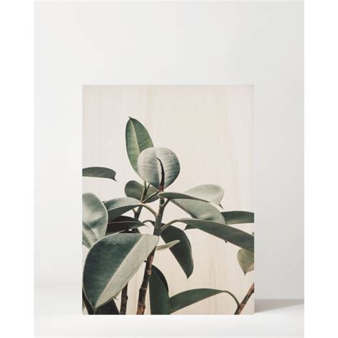 Cuadro De Madera Green Plant Decowood