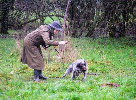 17 01 2023 Hundekurs VEREIN DEUTSCH DRAHTHAAR E V GRUPPE HESSEN