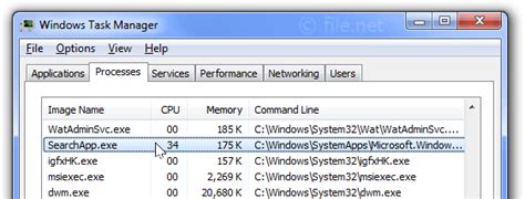 SearchApp Exe Windows Process What Is It