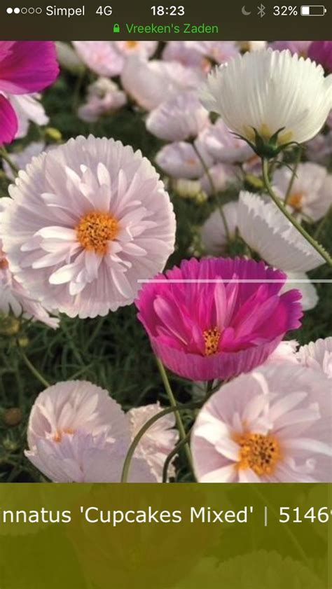 Pink And White Flowers Are In The Middle Of Green Grass With Text That