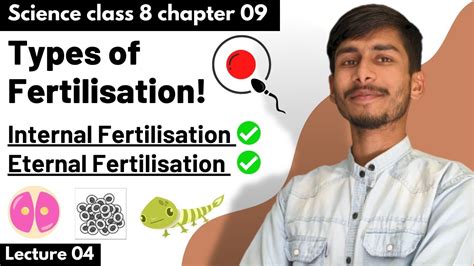 Part 04 Types Of Fertilisation Internal Fertilisation And External