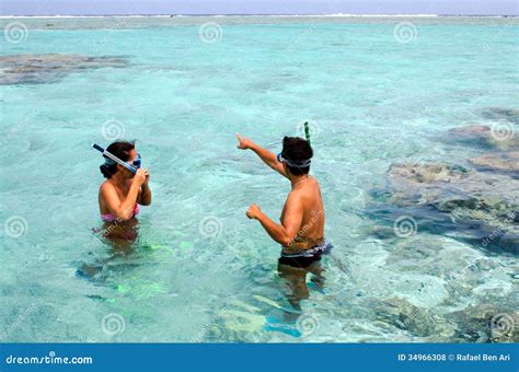 Snorkeling In Aitutaki Lagoon Cook Islands Stock Photo Image Of